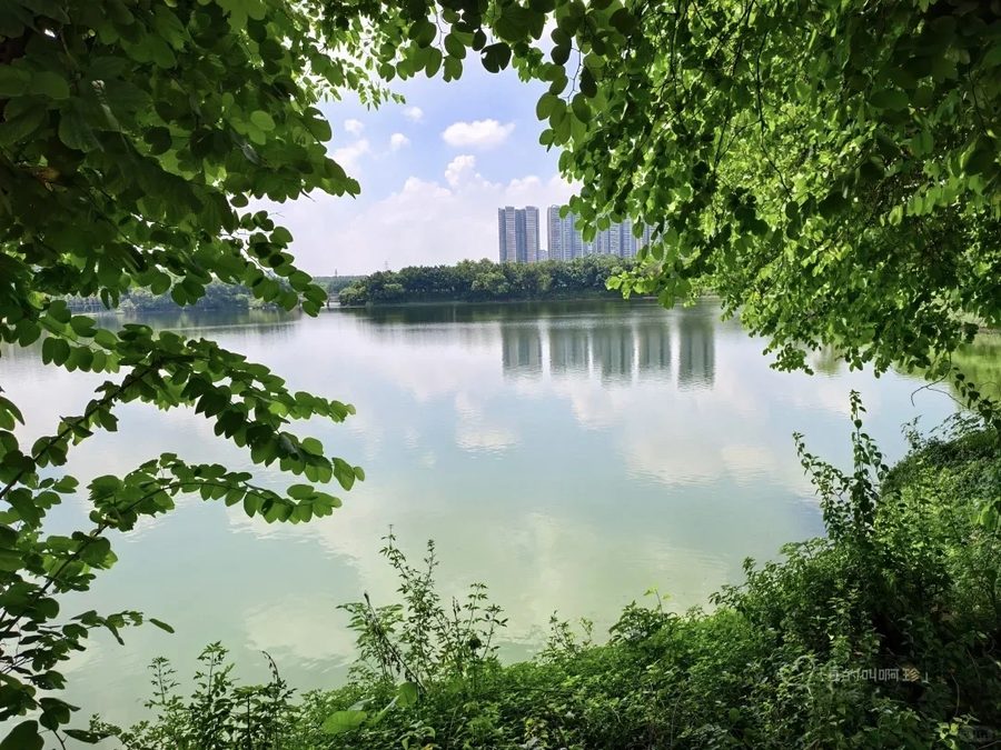 花都湖湿地公园内的岭南园林荫（小红书用户 2025-09-17 原帖配图）