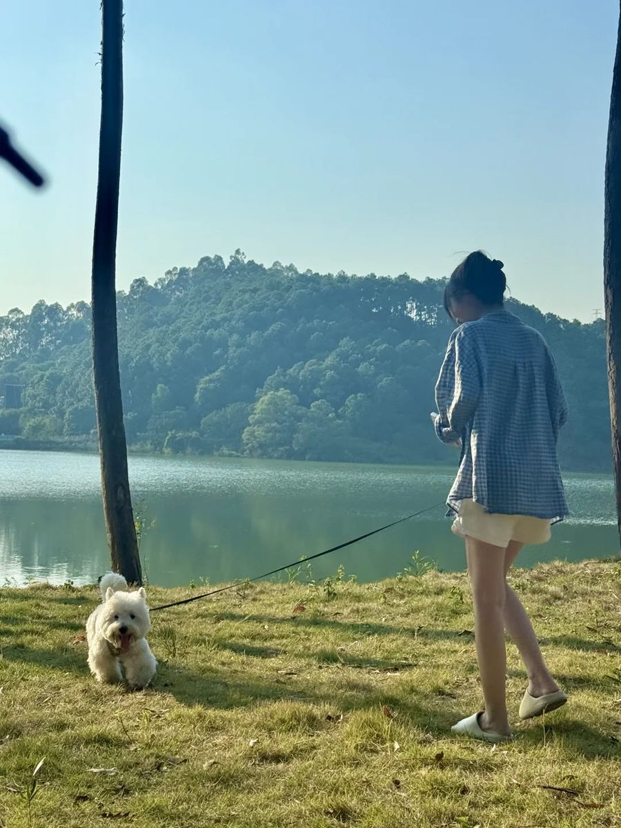 湖边草坪与水面